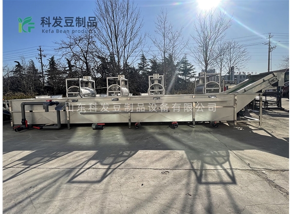 大型綠豆芽清洗機(jī)